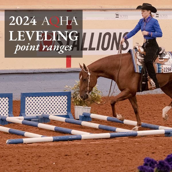 AQHA Leveling Point Ranges for 2024 Now Online Equine Chronicle