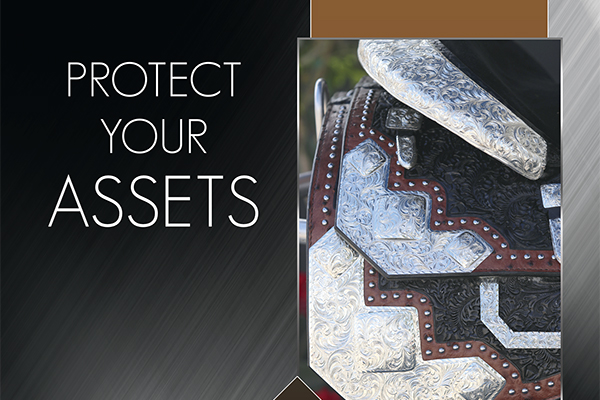 Protect Your Assets: The Latest How-To Guide For The Care Of Your Show Tack