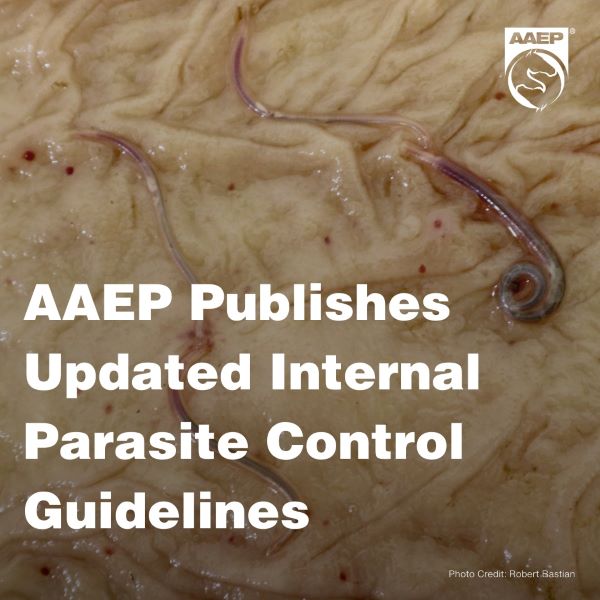 AAEP Publishes Updated Internal Parasite Control Guidelines