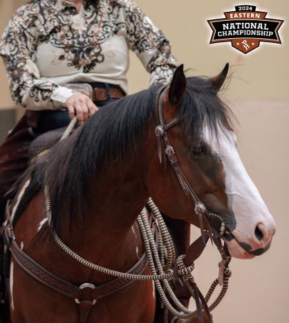 2024 APHA Eastern National Championship Forms Online