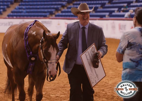 2024 APHA WCHA Halter Million Schedule Now Available