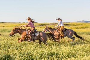 Art of the Cowgirl is on the Move | Equine Chronicle