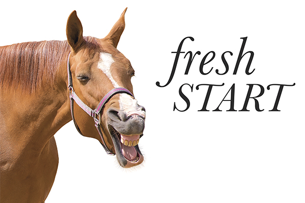 Fresh Start: Retraining The “Problem Horse”