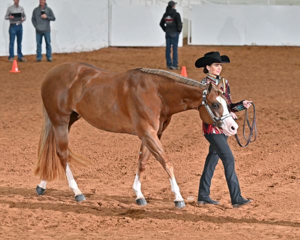 Showmanship Schooling Guide with Jenny Frid