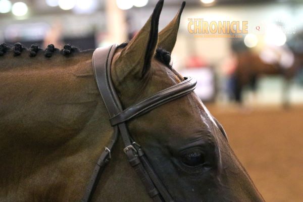 Who Is Returning for L3 Youth 14-18 Equitation at the 2024 AQHYA World Show?