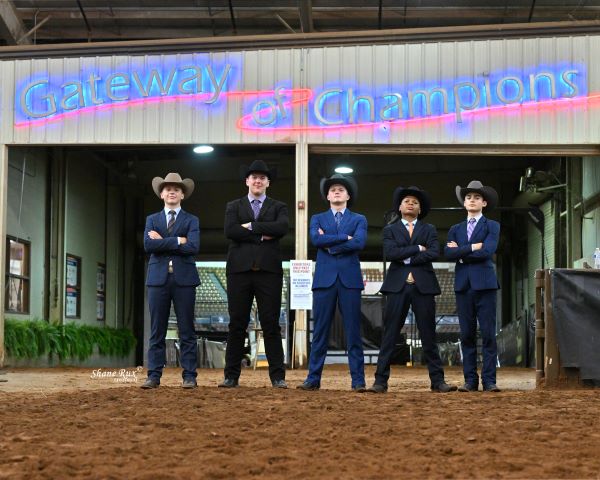 Wise Guys:  Five Young Men Make the Finals of 14-18 Showmanship at 2024 AQHYA World