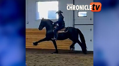 EC Video of the Day – A Horseman At Heart