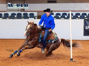 Around the Rings – Day Three of the 2024 Appaloosa World Show