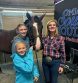 Glover Galyean Partnership Announces Acquisition of Renowned Western Pleasure Horse “Waffle House”