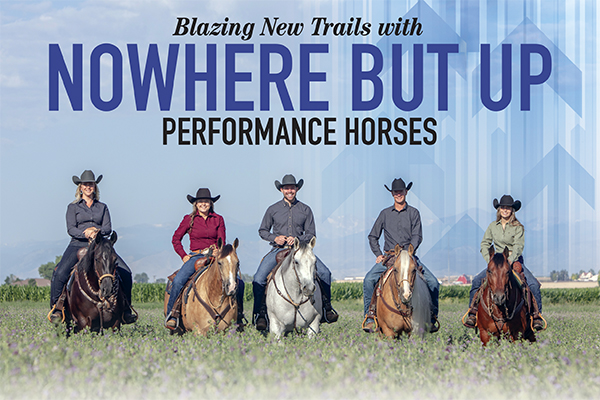 Blazing New Trails With Nowhere But Up Performance Horses