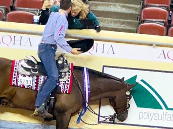 AQHA Pleasure Versatility 2024 Results & International Reach