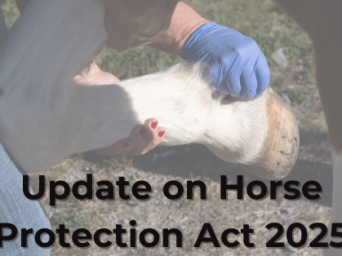 Updates on Horse Protection Act 2025