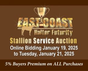 2025 East Coast Halter Futurity Stallion Service Auction