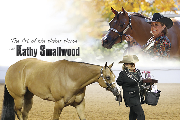 The Art Of The Halter Horse With Kathy Smallwood