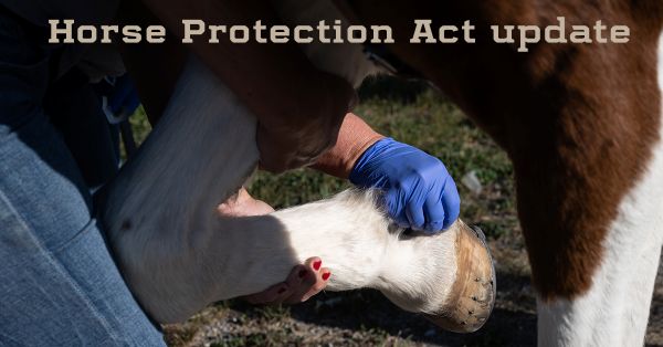 Horse Protection Act Modifications Postponed Until April 2, 2025