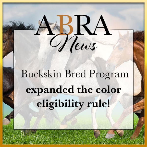 ABRA Buckskin Bred Program Expands Color Eligibility Rule