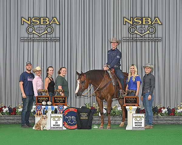 NSBA Announces Double Tapn as 2024 Horse of the Year